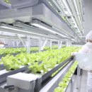 연암농장2 이미지