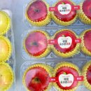 장수농기계임대사업단 이미지