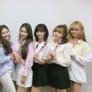 로즈데이 티브이데일리