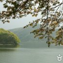 경안피아노 이미지