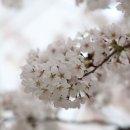 *함께하는 만보방-9-091 이미지