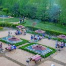 숲속에 우산정원 이미지