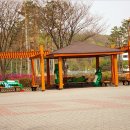 아르바