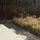 오디너리핏 이미지