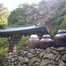 덕암목장 Daum카페