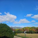 부산문화회관 사랑채극장 | 전래동화 뮤지컬&lt;혹부리 영감과 도깨비&gt; 부산문화회관 사랑채극장