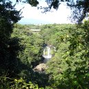 천제연폭포 이미지