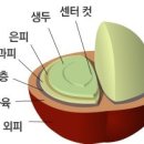 유인커피 이미지