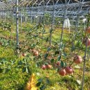 송림농원 이미지