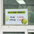 옥포테니스장 이미지