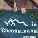 고덕갈비 이미지
