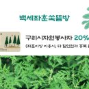 백세좌훈쑥뜸방