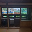 구)울릉중학교 | 울릉도 숙소 _ 섬꽃향기민박