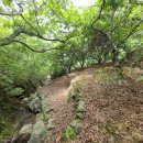 횡천면사무소 이미지