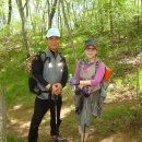 성산초등학교 이미지