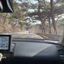 꽃지사랑 | [충남 태안] 고즈넉한 서해 바다와 한적한 휴식, 안면도 추천 숙소 후기 <꽃지해수욕장펜션>