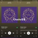 Chacha정림 / 20230223 / 오후 11시 이미지