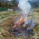 성관농장 이미지