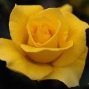 서산초등학교 이미지