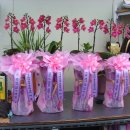 대구동부초등학교 이미지