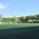 수원종합운동장 인조잔디구장 이미지