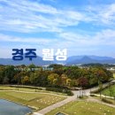 경주 산책길이 좋은 월성과 주변 석빙고 추천