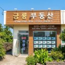 제주탄탄공인중개사사무소 | [제주 부동산 전문] 성공적인 제주 정착과 투자의 든든한 파트너, '금룡공인중개사사무소'입니다...