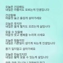 구름속의 산책 이미지