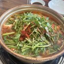 바다양푼이동태탕(강화읍점) | 강화도 맛집 [바다양푼이동태탕 강화읍점] _ 내돈내산