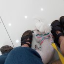 신대동물병원 이미지