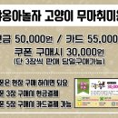 야옹아 놀자 이미지