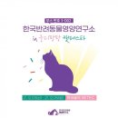 한국반려동물영양연구소 이미지