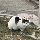 귀빈패션 이미지