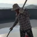 정일도장 이미지
