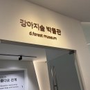 강아지숲 박물관 이미지
