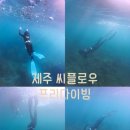 신중로13번길 | 제주 서귀포 프리다이빙 체험 후기 :: 씨플로우
