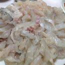 망경장어 이미지