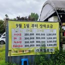 아빠캠핑가 | 충청도 카라반 진천 아빠캠핑가 이용 후기