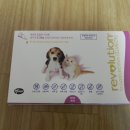 천안동물약국 이미지