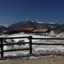 대관령전망대 이미지