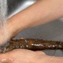 임진강 | 임진강 참마 3kg 구매 후기 , 몸보신에 좋은 참마