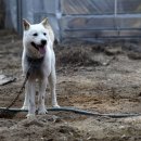 사기막 농장 이미지