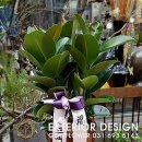 경일고무 이미지