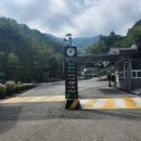 지리산 숙소 "지리산 자연 휴양림" 이용후기