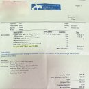 토론토 동물병원 이미지