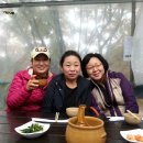 포도밭민박 이미지