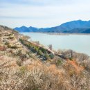 원동교통(주) | 실시간 양산 원동 매화축제, 주차전쟁 피해 기차 타고간 순매원