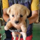 현산면사무소 이미지