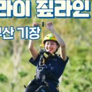 스카이라인루지통영 주식회사 이미지