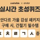 캐시플라이